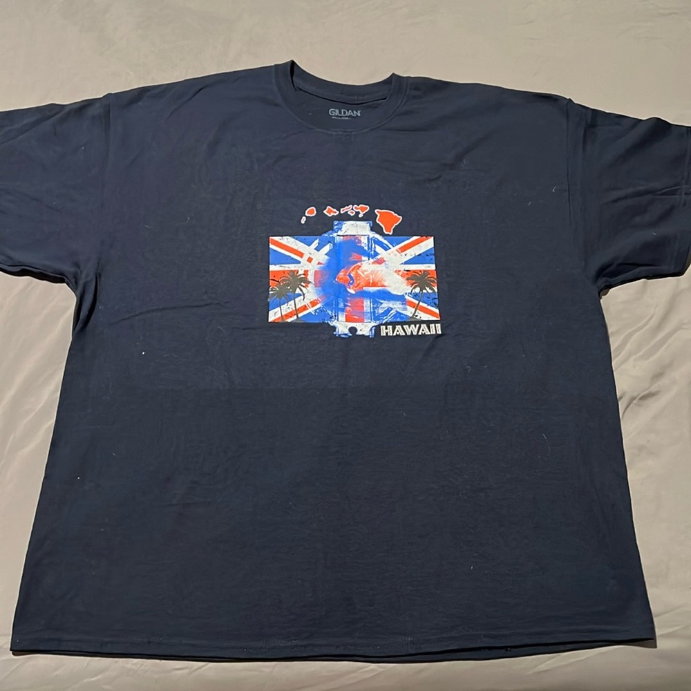 Hawaii Graphic Tee- 2xl